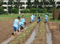 青溪農業職群--實習花圃-桃農農場