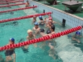 99年泳隊培訓班-99年泳隊培訓班