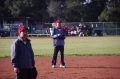 99年桃園縣教師組壘球隊比賽相片-99年桃園縣教師組壘球隊比賽相片