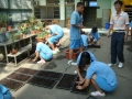 落葉堆肥蔬菜栽種-