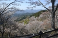 京阪奈輕鬆5日自由行２-奈良吉野山風景如畫